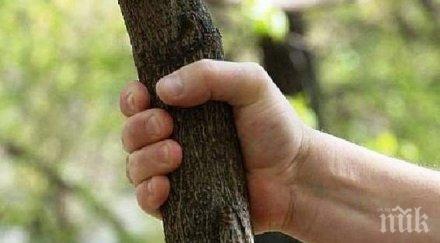 циганина уби свой съселянин дървен кол снимка