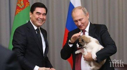 президентът туркменистан борисов подари кученце путин видео