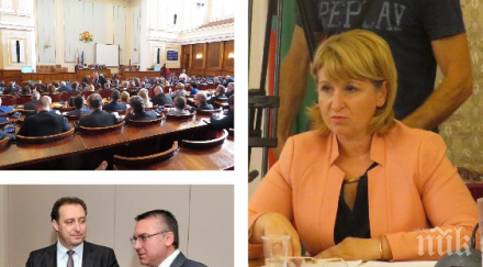 без дебат депутатите избраха диана йорданова зам председател комисията финансов надзор