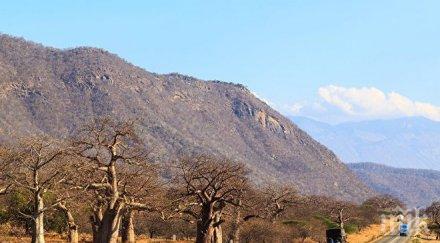 инцидент загинали микробус падна езерото виктория танзания