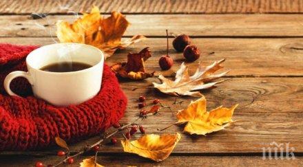 лошото време свърши започва прекрасно циганско лято