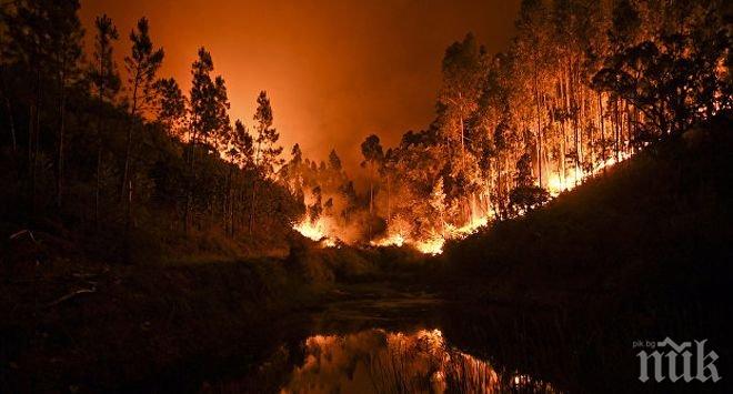 Стихия! Близо осем хиляди души са се включили в борбата с огъня в Калифорния