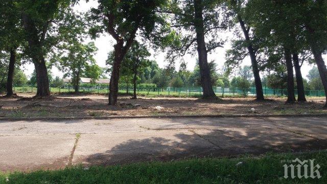 10-годишният Тошко върна 100 лева на бивш кмет