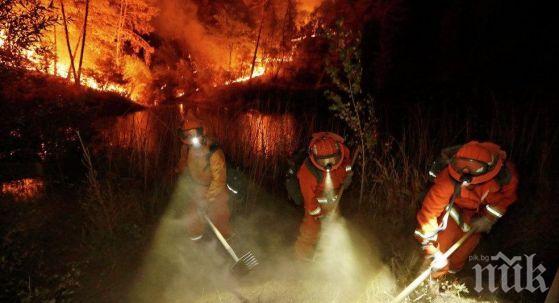 ЕКСКЛУЗИВНО! Българка за огнения ад в Калифорния: Градът е като след апокалипсис! Жертвите в Напа са 21, 150 се водят изчезнали