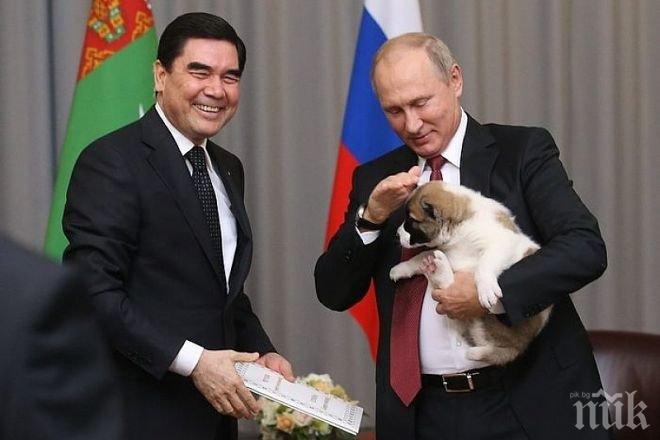Президентът на Туркменистан като Борисов - подари кученце на Путин! (ВИДЕО)