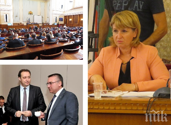 Без дебат: Депутатите избраха Диана Йорданова за зам.-председател на Комисията за финансов надзор