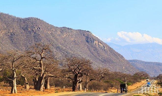 Инцидент! 12 загинали, след като микробус падна в езерото Виктория в Танзания