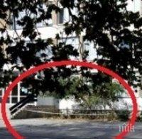 Мазилка падна посред бял ден във варненско училище, по чудо няма пострадали
