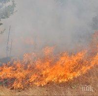 Пожар лумна в района на пътя от Враца към Вършец