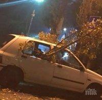 Тежка катастрофа в Пловдив! Кола се размаза в дърво след удар с друг автомобил