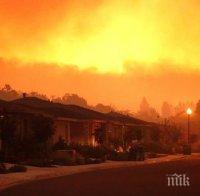 Стихия! Броят на жертвите на пожарите в Калифорния достигна 40 души