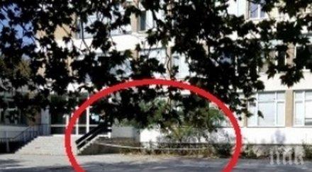 мазилка падна посред бял ден варненско училище чудо пострадали