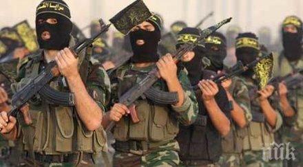 зам командирът бригадите кудс иран заровил земята мнозина тръмп