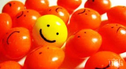 вижте зодиите гледат света слънчевата страна