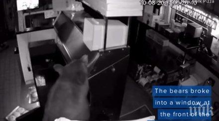 мечки нахлуха пицария ометоха тестото колбасите видео