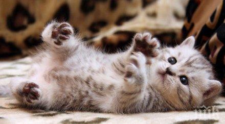 сигурни признака сте умни