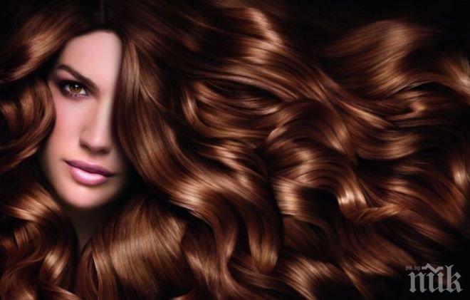 Жените трябва да си боядисват косата само 6 пъти годишно
