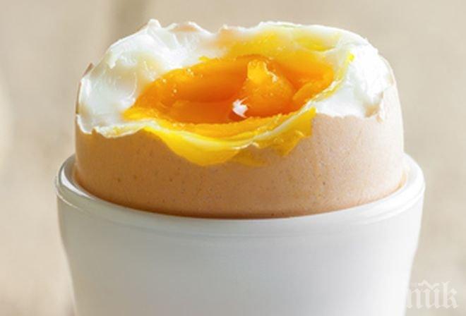 Белите яйца са по-полезни от кафявите… и някои други митове