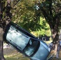 ЗРЕЛИЩНА КАСКАДА! Кола кацна между две дървета в старозагорски парк