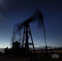 Протест срещу добива на газ в Добричко