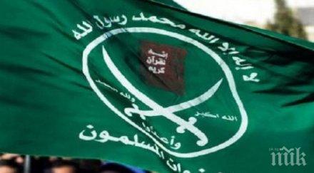 египет пусна свобода ирландския гражданин ибрахим халава беше затвора обвинения връзки мюсюлманското братство