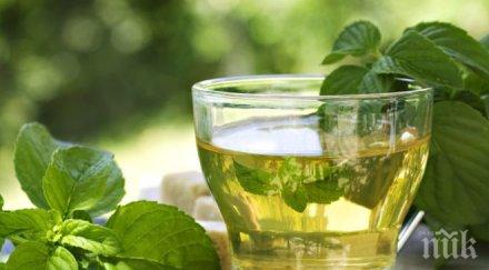 чаят осигурява защита четири вида рак