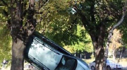 зрелищна каскада кола кацна две дървета старозагорски парк