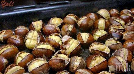 сладките кестени вижте ядем полезни