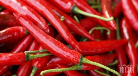 сила рака български зеленчук пази тумори