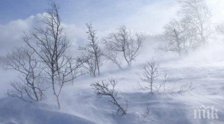 бедствие заради ураганите иде зима сняг виелици