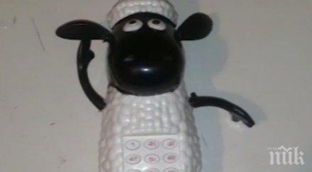 щуротия детска играчка пее аллах акбар семейство видя чудо видео