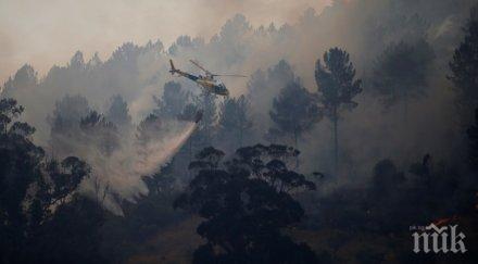 оставки вот недоверие заради пожарите португалия