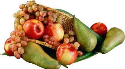 плодове зеленчуци подготвят организма зимата