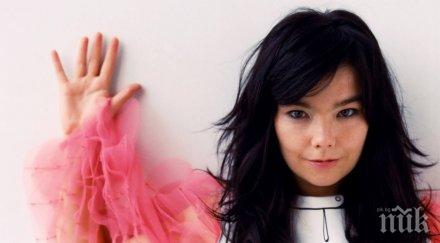 скандала холивуд бьорк обвини режисьор секс тормоз