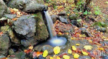 чудо чешмата щастието намира българия