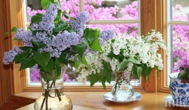 МИСТИКА! Прозорците притежават скрита магия. Ето как да я активирате