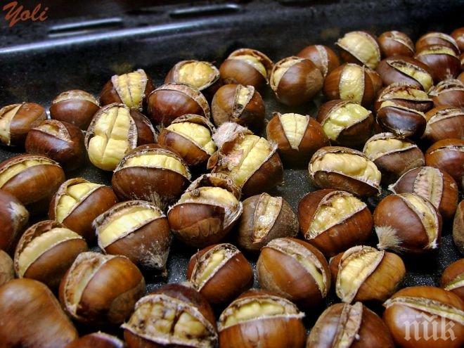 Сладките кестени: Вижте как да ги ядем и защо са полезни