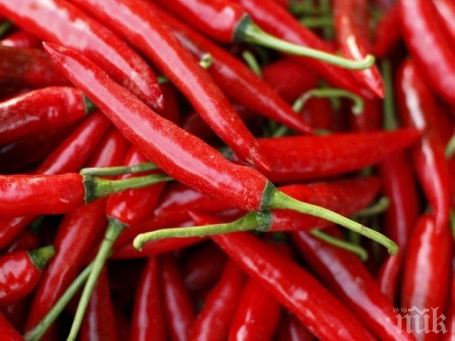 СИЛА СРЕЩУ РАКА! Ето кой български зеленчук пази от тумори