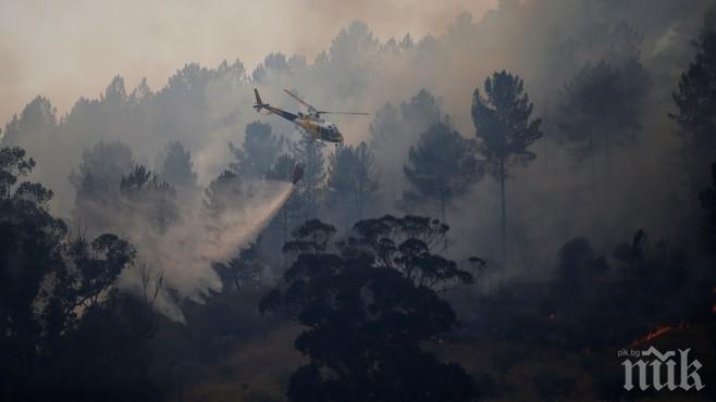 Оставки и вот на недоверие заради пожарите в Португалия