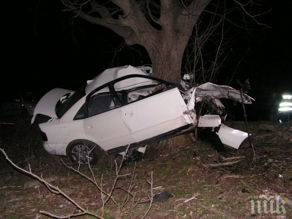 19-годишна фенка на Бързи и яростни пробва колко вдига хондата, заби се в дърво