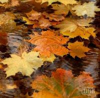 ЕСЕНТА ПОКАЗА ТЪМНАТА СИ СТРАНА! Срядата ще е мрачна и дъждовна, в планините ще трупа сняг, но от четвъртък...