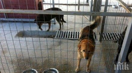 официално кучкарникът маломир незаконен бутат