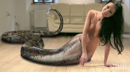 змийски хороскоп жени каква змия сте