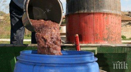 страшна трагедия джибри задушиха семейство жена откри мъртви родителите мъжа несвяст тях