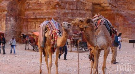 вижте намира малкият хотел света