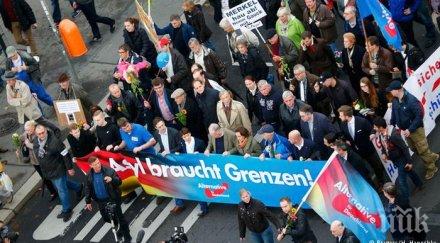 бунт протест берлин влизането алтернатива германияв бундестага