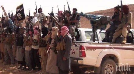 египет страшно арестуваха джихадисти