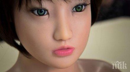 бизнес нюх отвориха бордей секс кукли