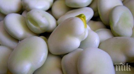 смолянско готвят бобен фест