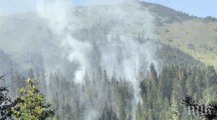 бедствие пожар пламна рила огънят обхванел декара